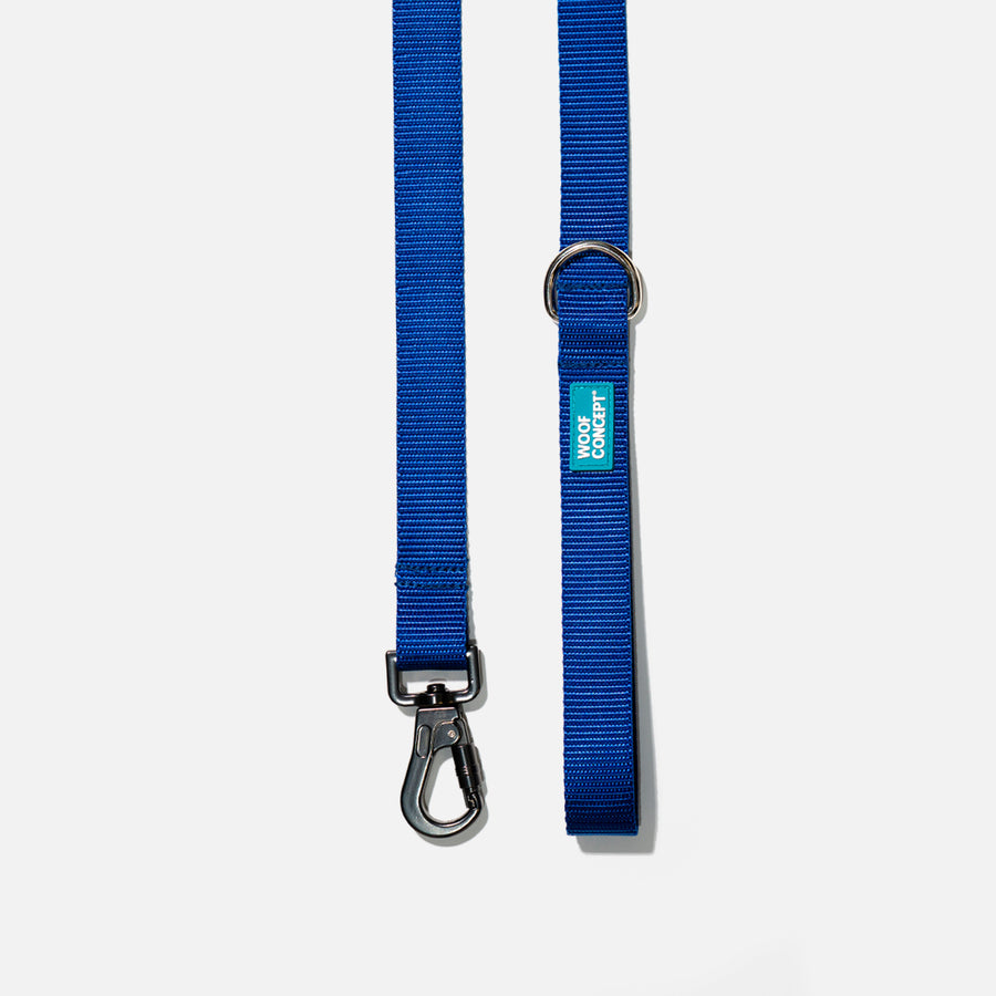 Dog Leash Blue