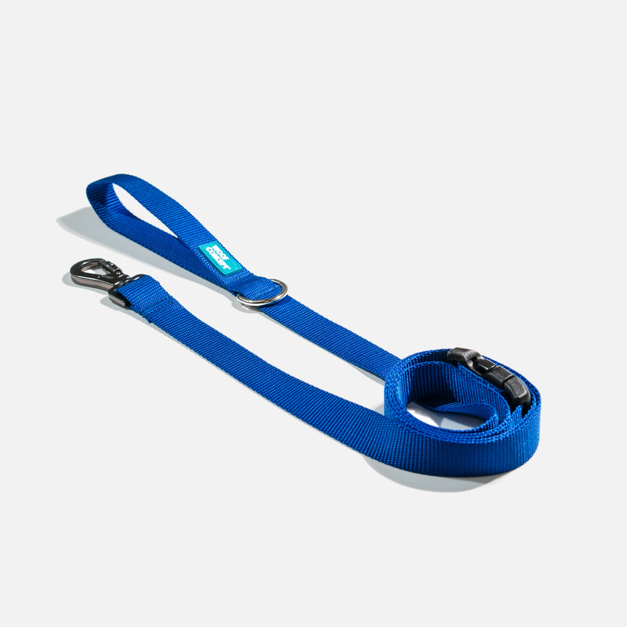 Dog Leash Blue