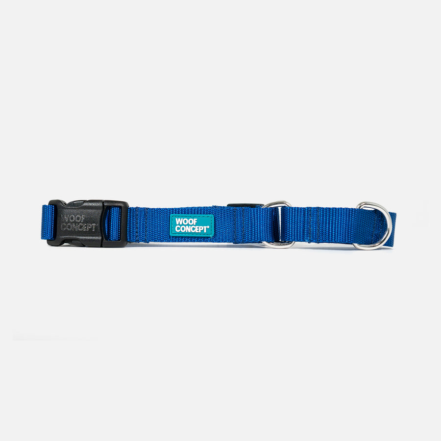 Dog Martingale Blue