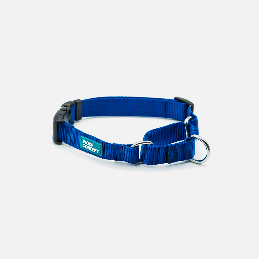 Dog Martingale Blue