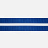 Dog Leash Blue