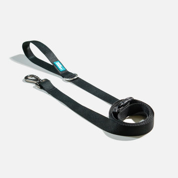 Dog Leash Black