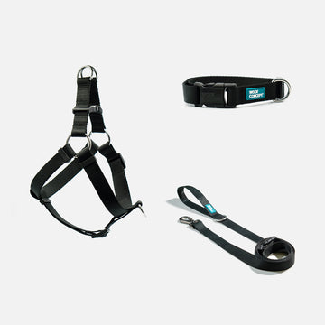 Dog Harness, Collar, Leash