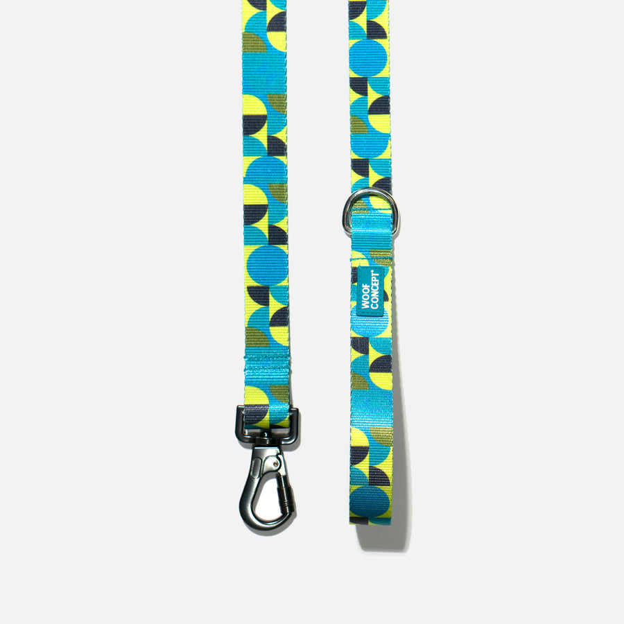 Dog Leash Green