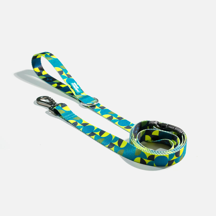 Dog Leash Green