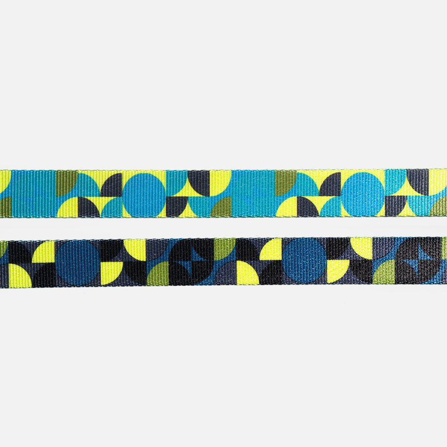 Martingale Collar