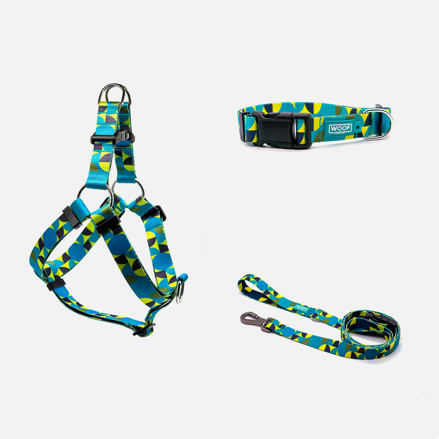 Dog Harness, Collar, Leash