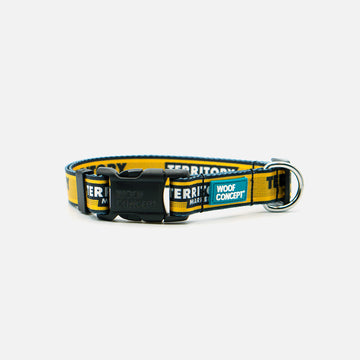 Dog Collar Yellow