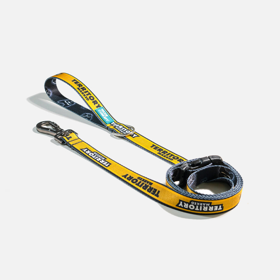 Dog Leash Yellow