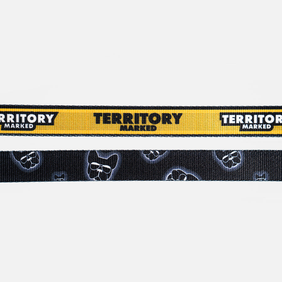 Dog Collar Yellow