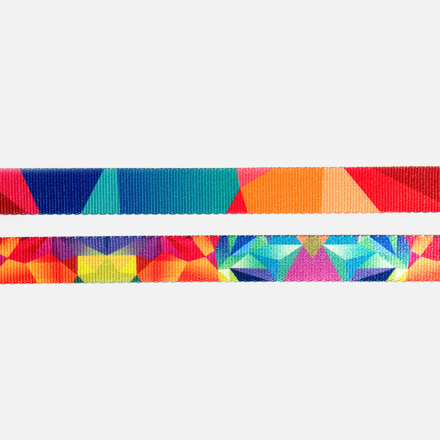 Dog Collar Rainbow