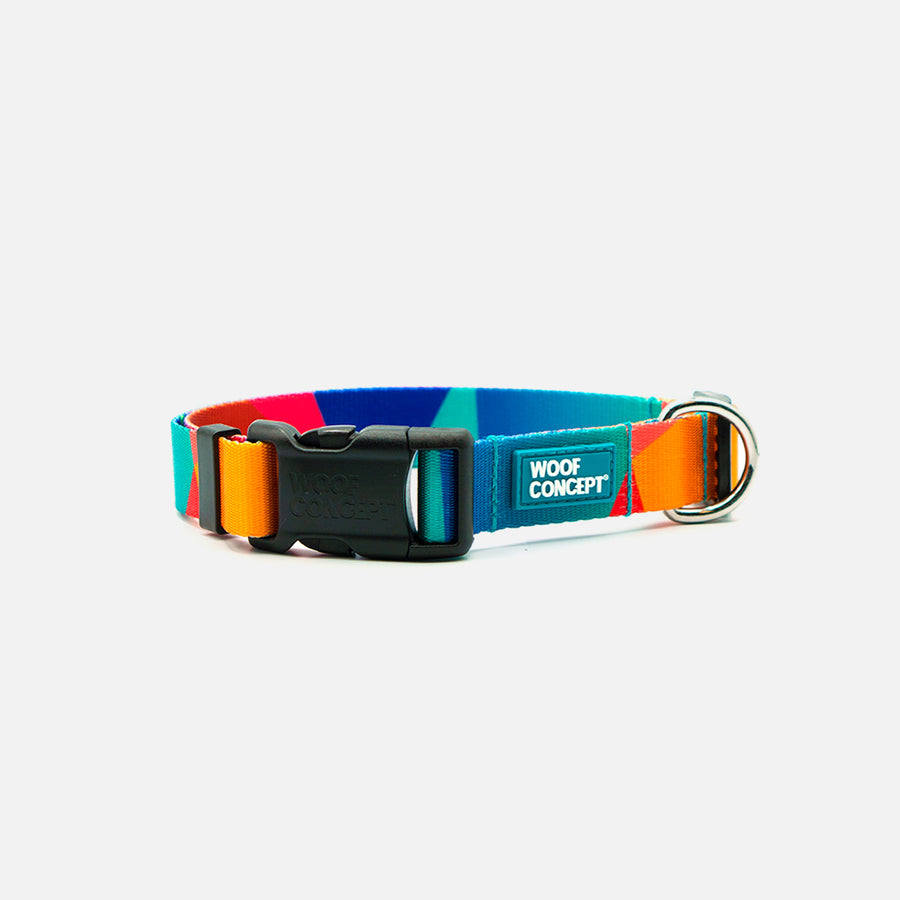 Dog Collar Rainbow