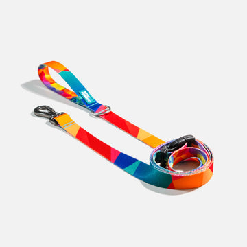 Dog Leash Rainbow