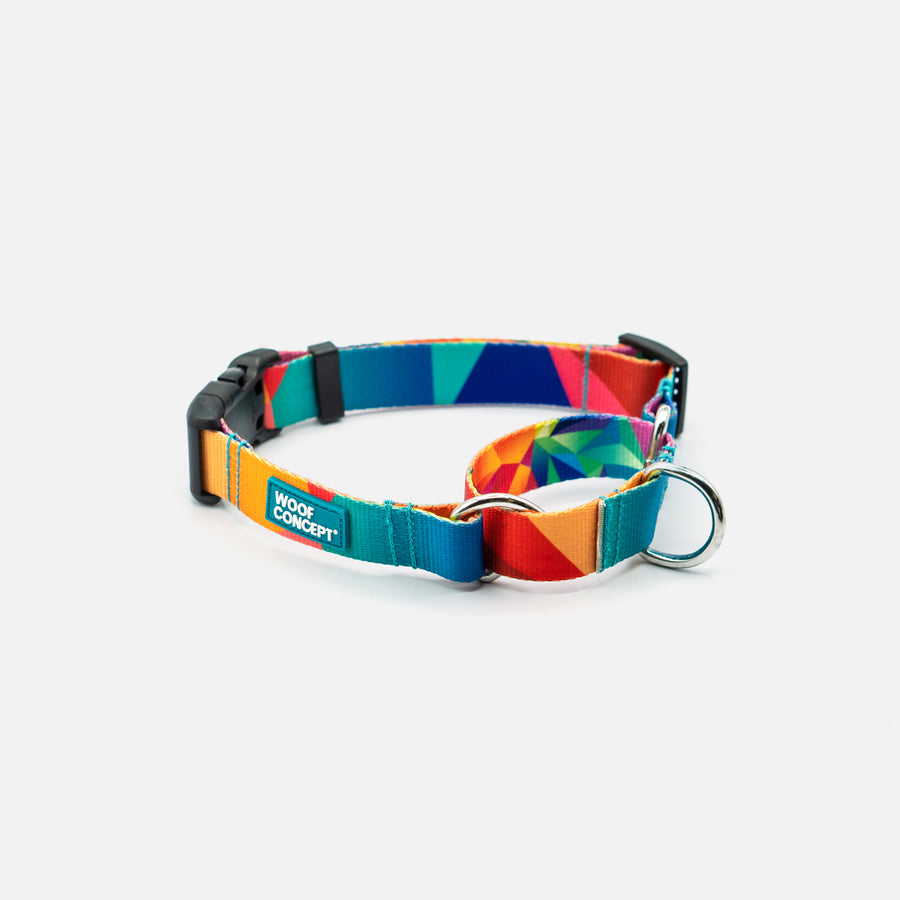 Fabric Martingale Rainbow