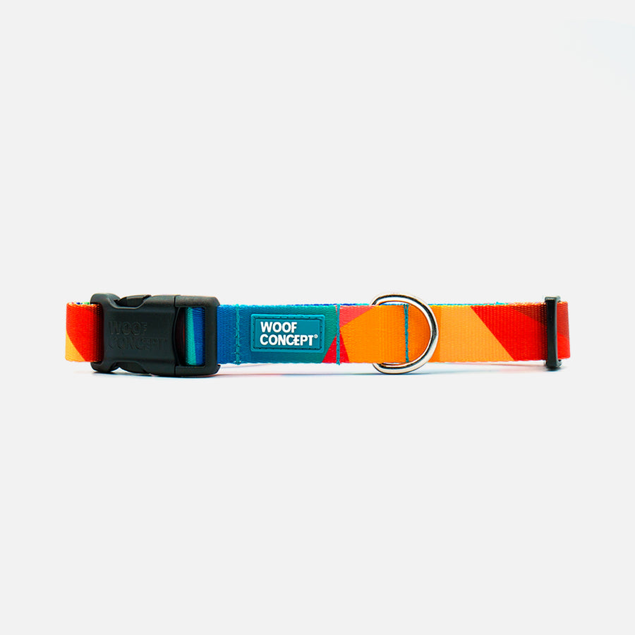 Dog Collar Rainbow