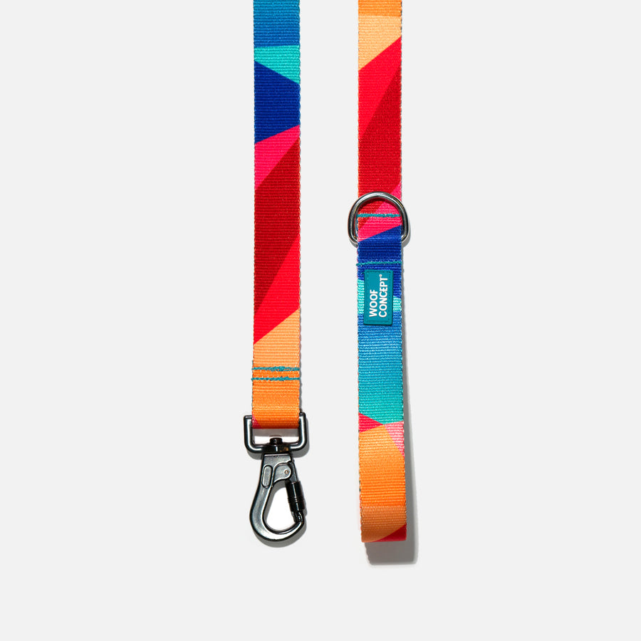 Dog Leash Rainbow