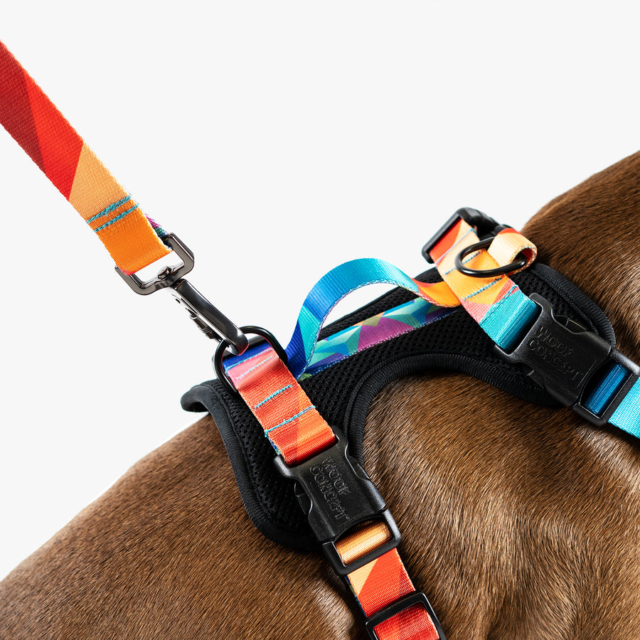 Dog Mesh Harness Red