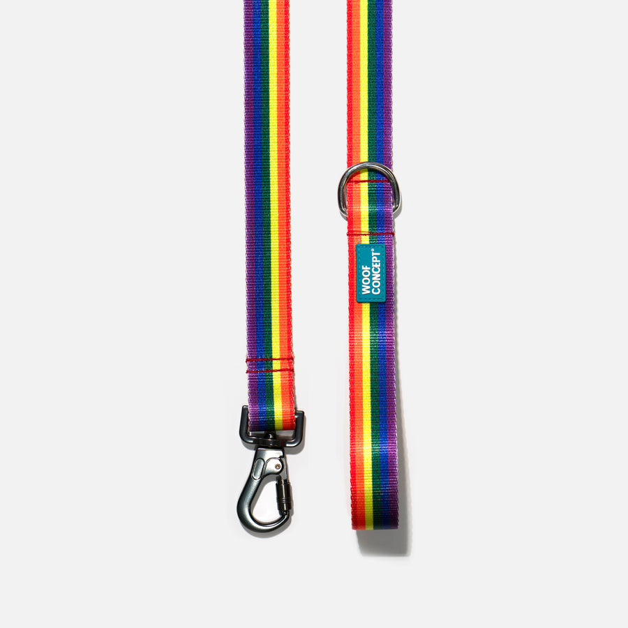 Dog Leash Rainbow