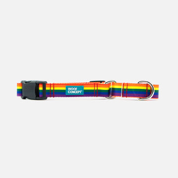 Fabric Martingale Rainbow