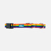Fabric Martingale Rainbow