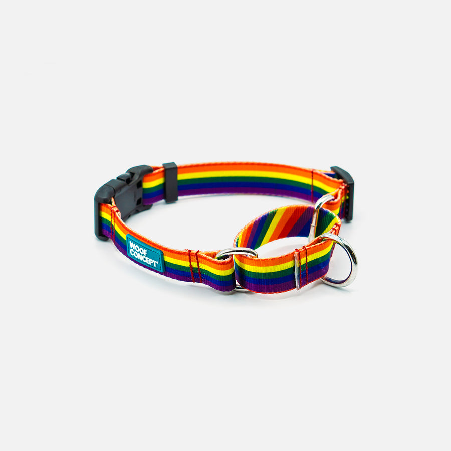 Fabric Martingale Rainbow