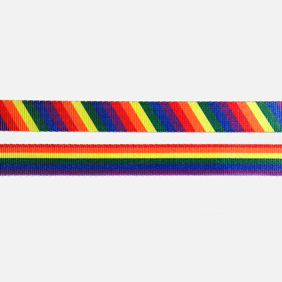 Dog Leash Rainbow