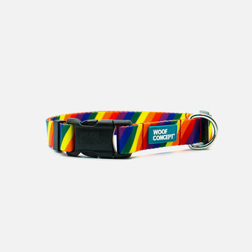 Dog Collar Rainbow