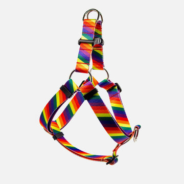 Dog Step In Harness