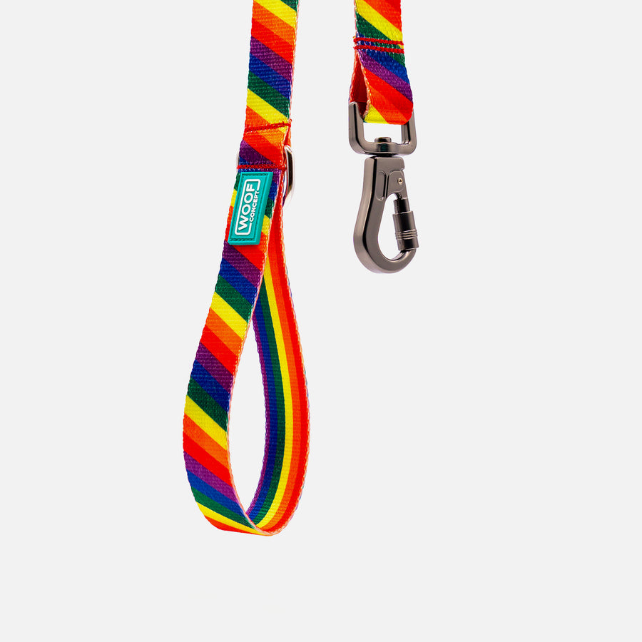 Dog Leash Rainbow