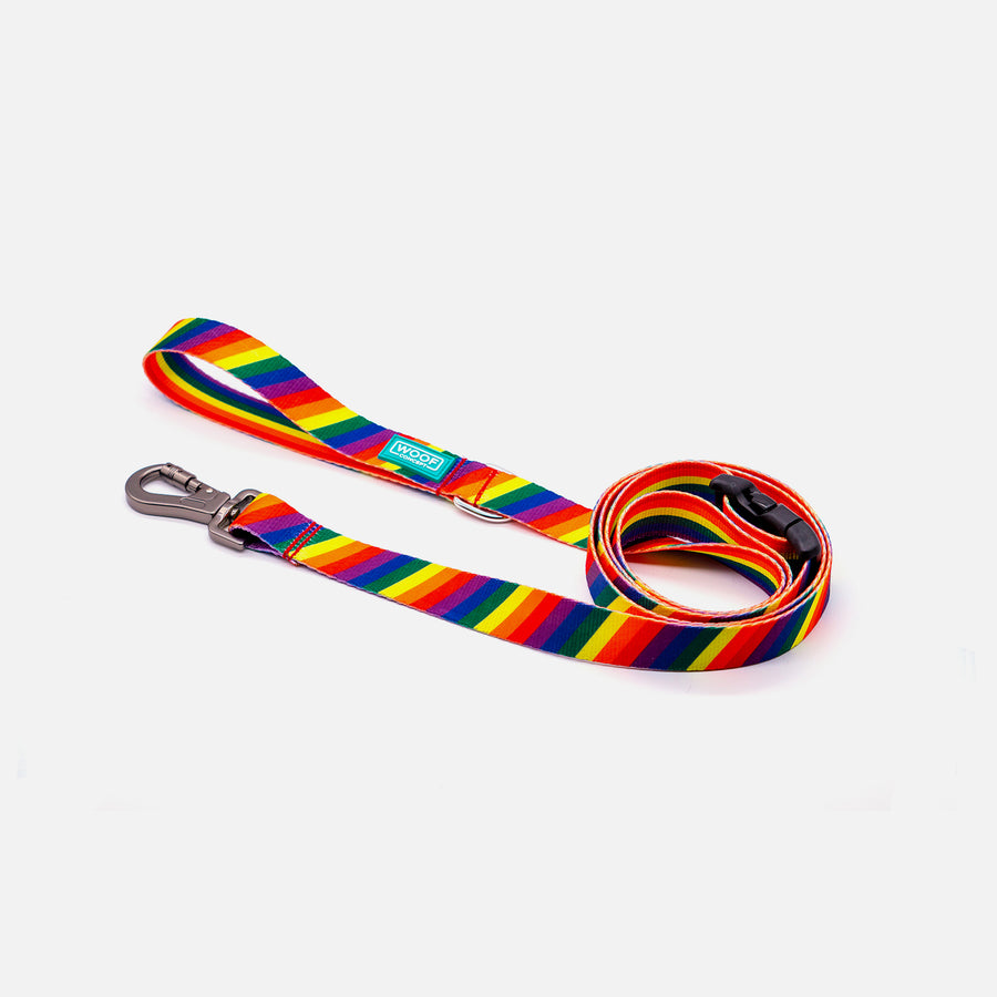 Dog Leash Rainbow