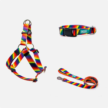 Dog Harness, Collar, leash