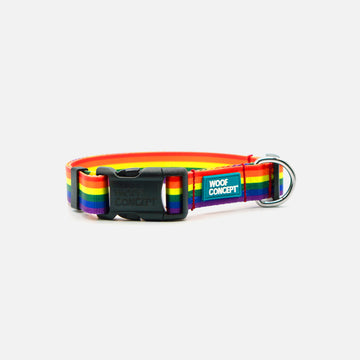 Dog Collar Rainbow