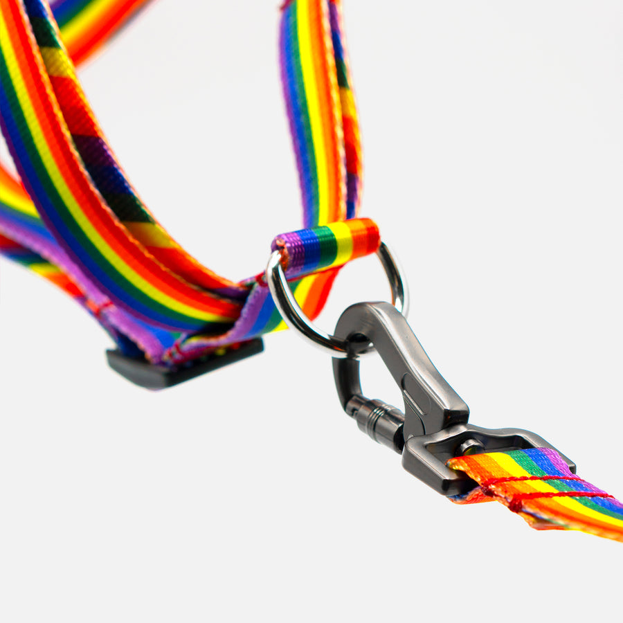 Dog Harness Rainbow