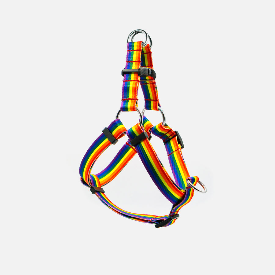 Dog Harness Rainbow