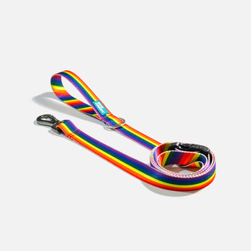 Dog Leash Rainbow