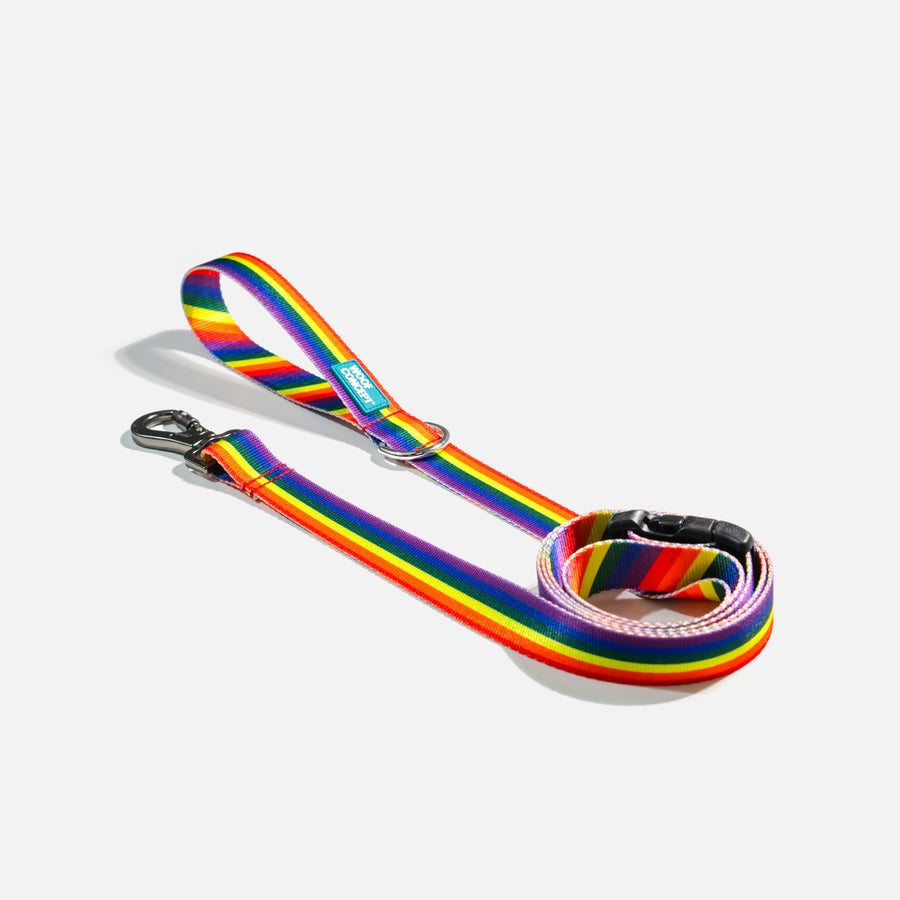 Dog Leash Rainbow