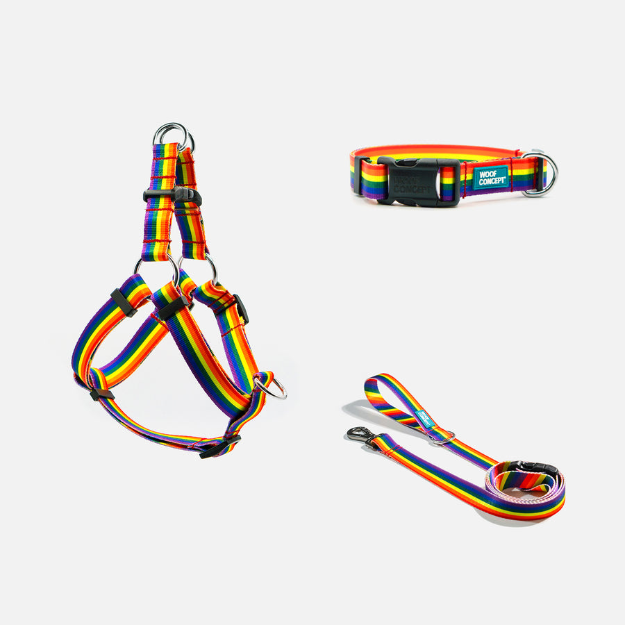 Dog Harness, Collar, Leash Rainbow