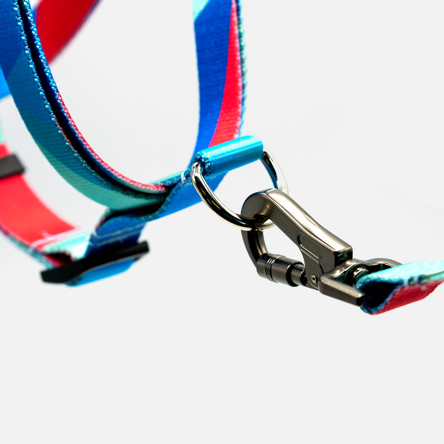 Dog Step In Harness