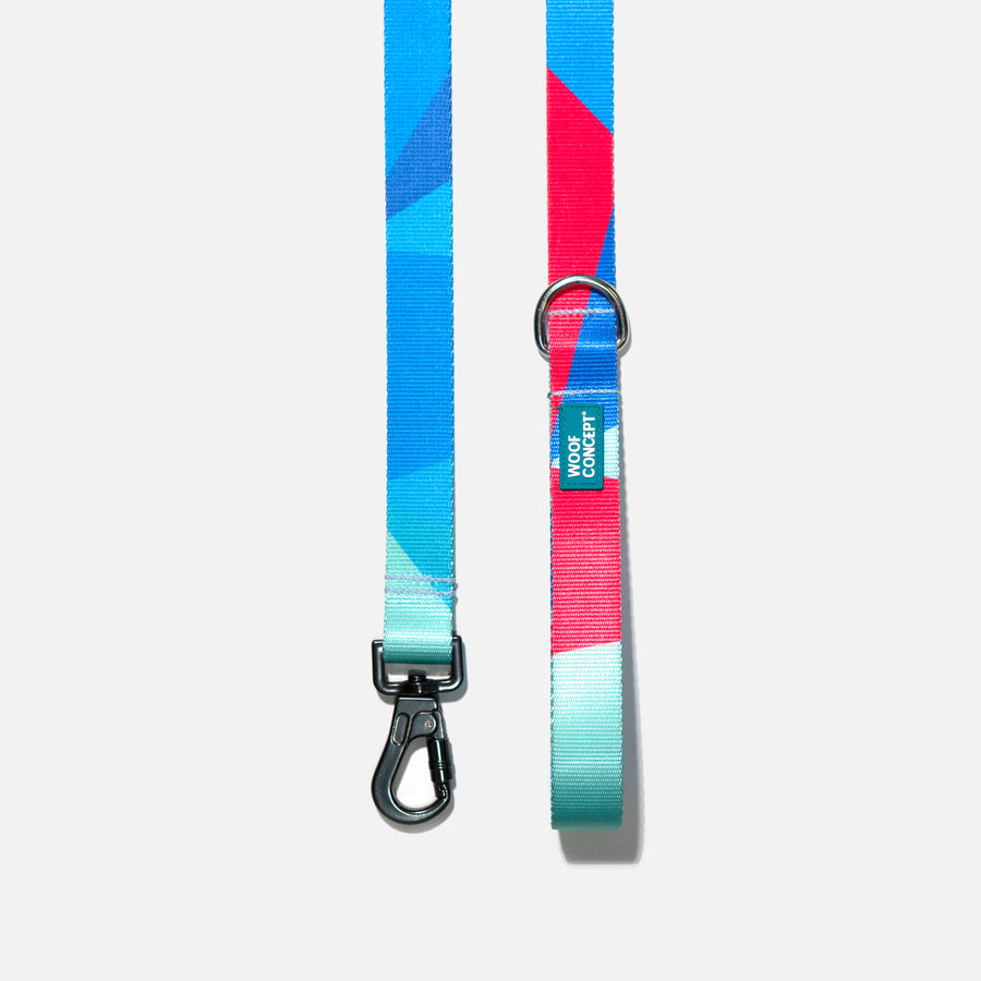 Dog Leash Blue