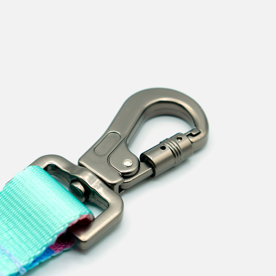 Dog Leash Blue