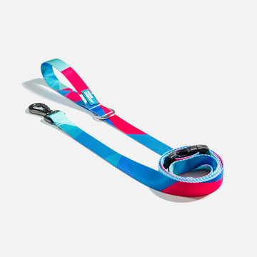 Dog Leash Blue