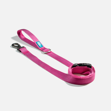 Dog Leash Pink