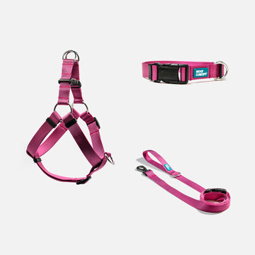 Dog Harness, Collar, Leash