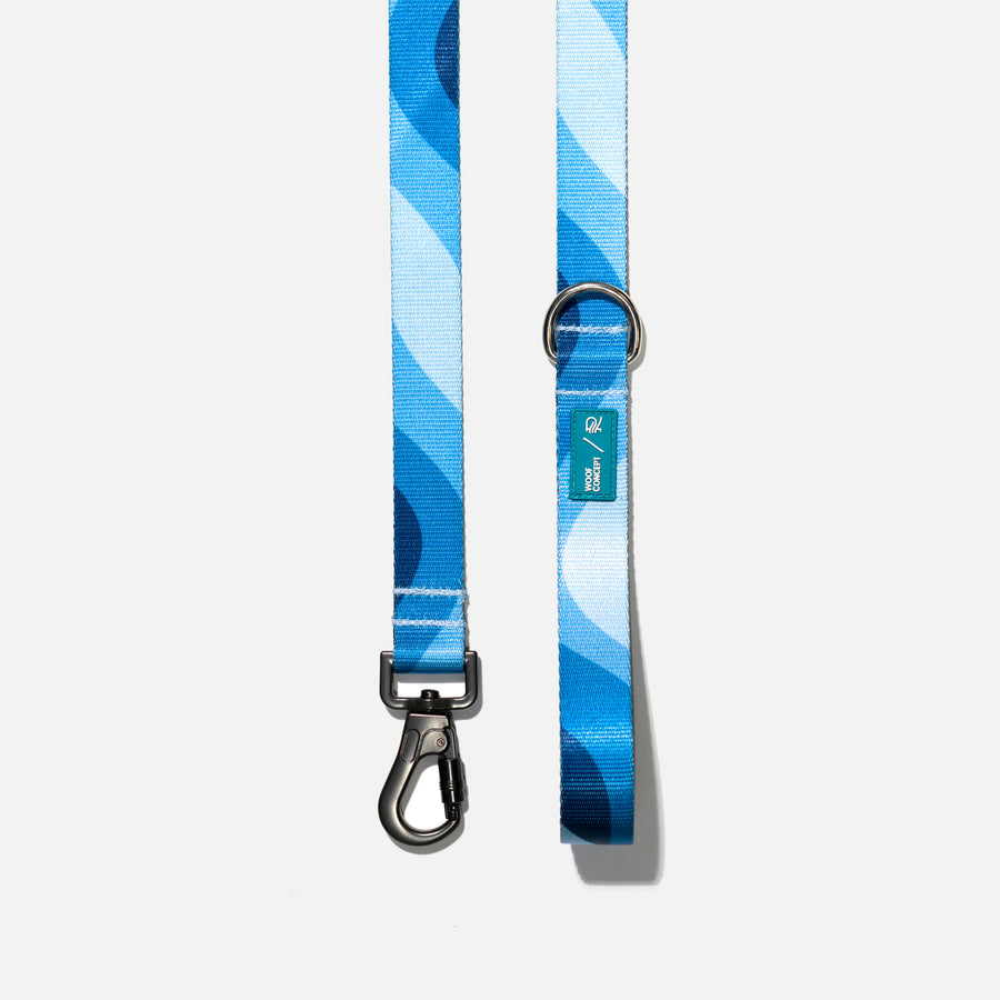 Dog Leash Blue