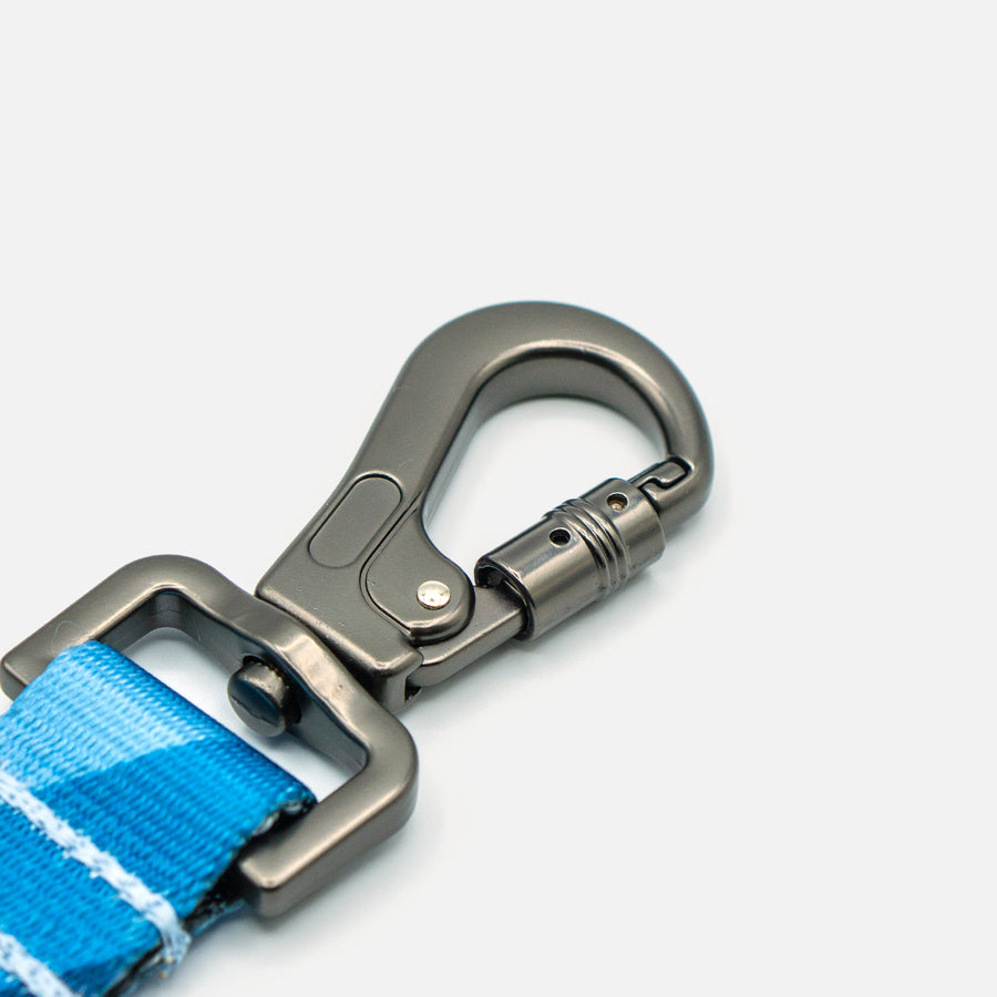 Dog Leash Blue