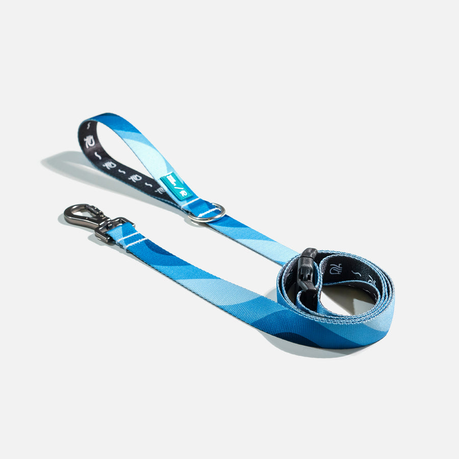 Dog Leash Blue