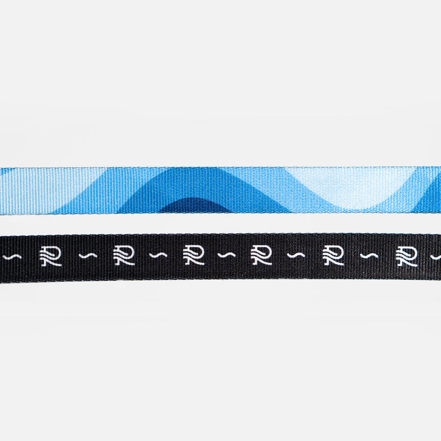 Dog Collar Blue