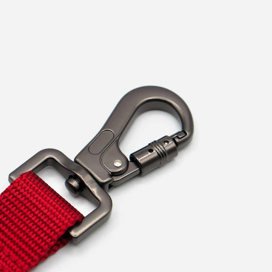 Dog Leash Red