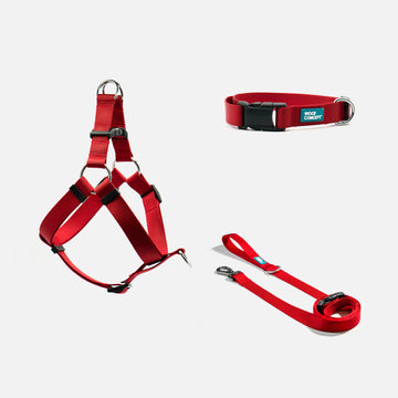 Dog Harness, Collar, Leash