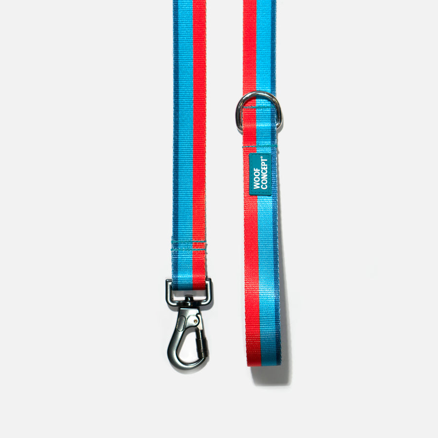 Dog Leash Blue